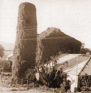 An Image of The Old Flour Mill